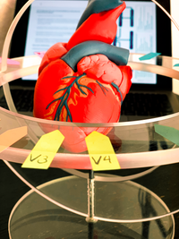 EKG Unterricht